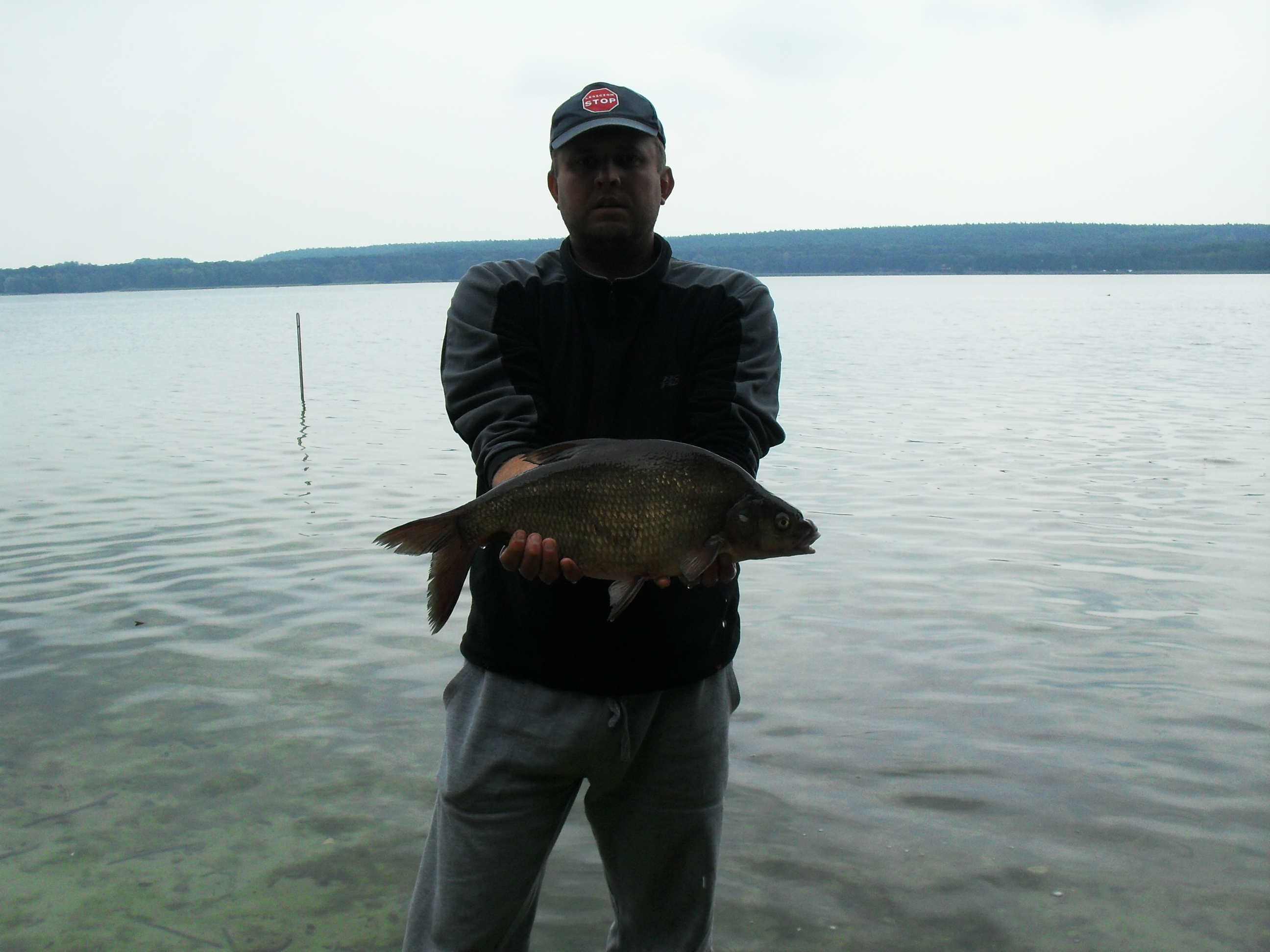 2,2 kg