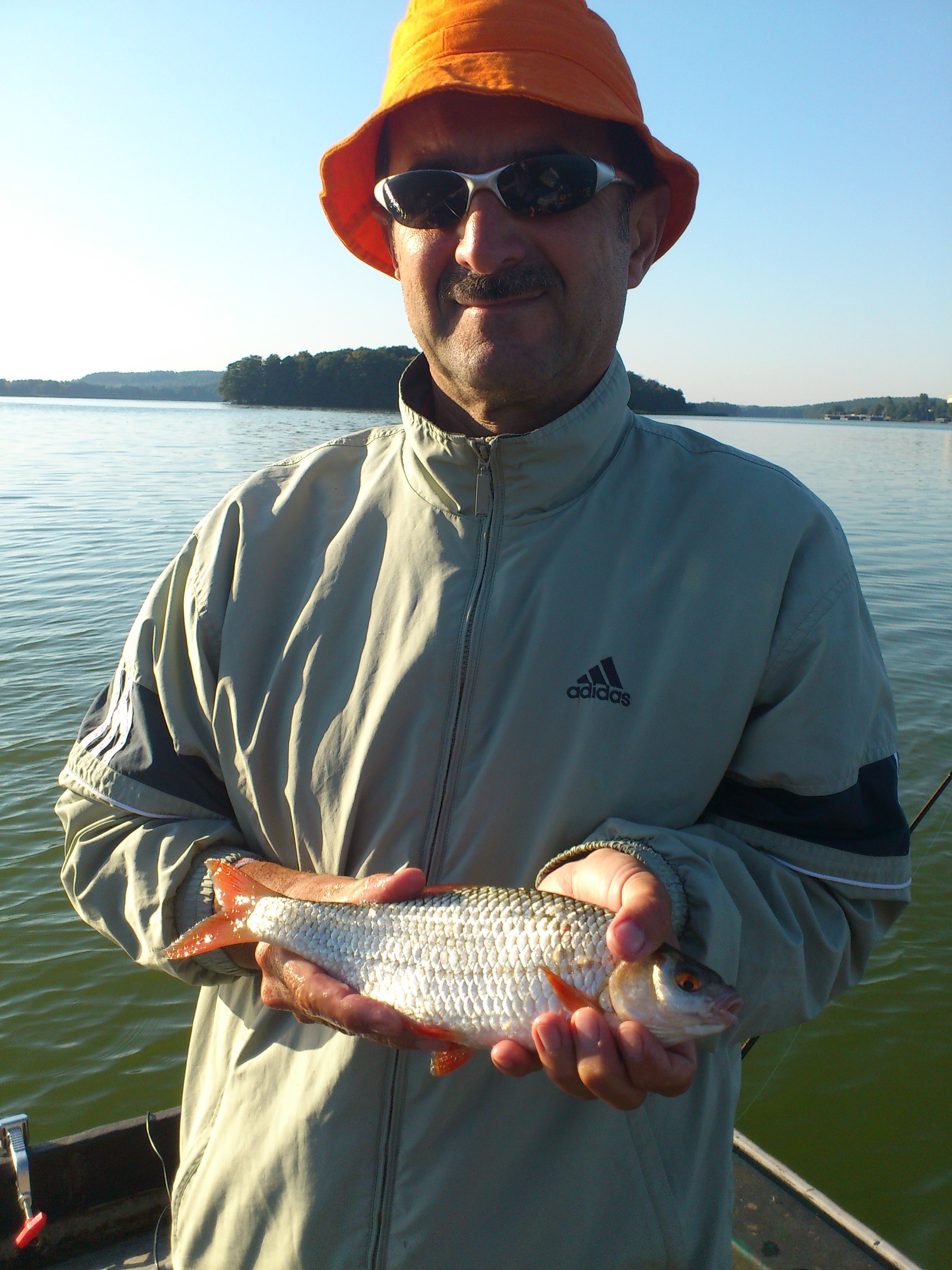 Padre z płocią 33cm 0.5kg