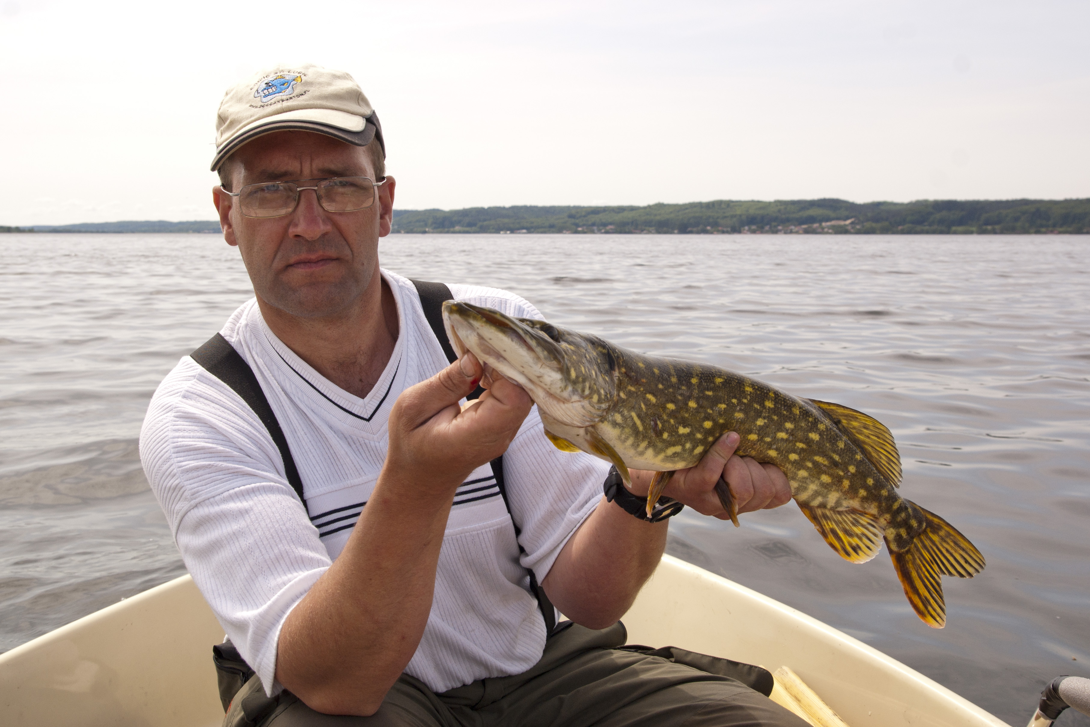 Szczpaczek